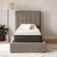 Limited Edition Plush  Mattress
